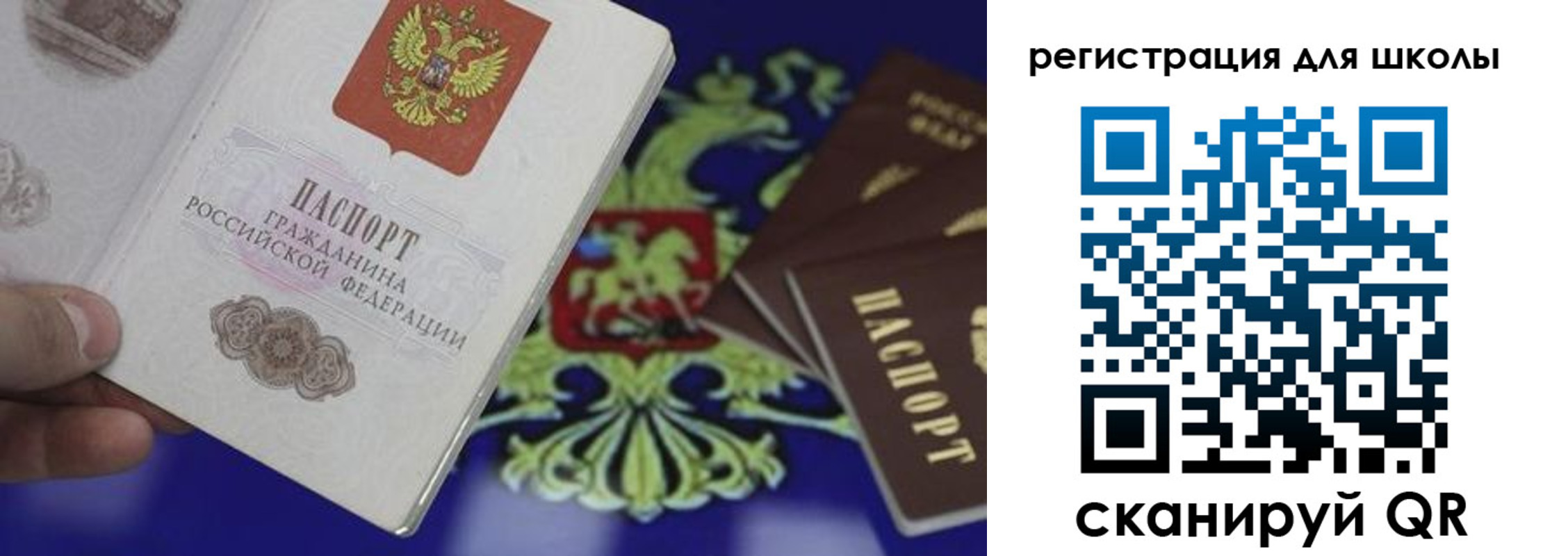 прописка законно в Борзе